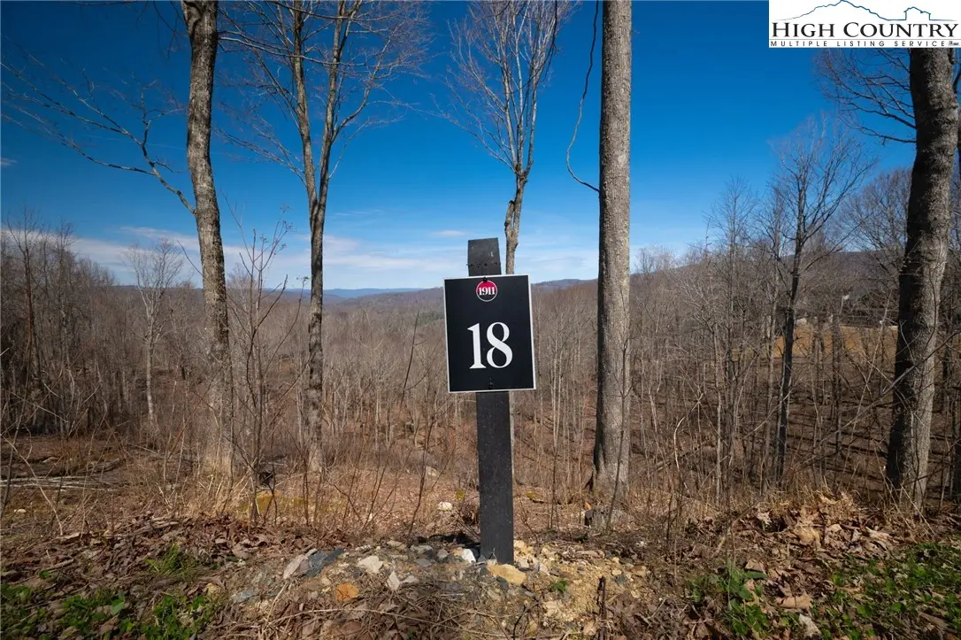 Lot 18 Honeysuckle Drive, Elk Park, NC 28622 - #1