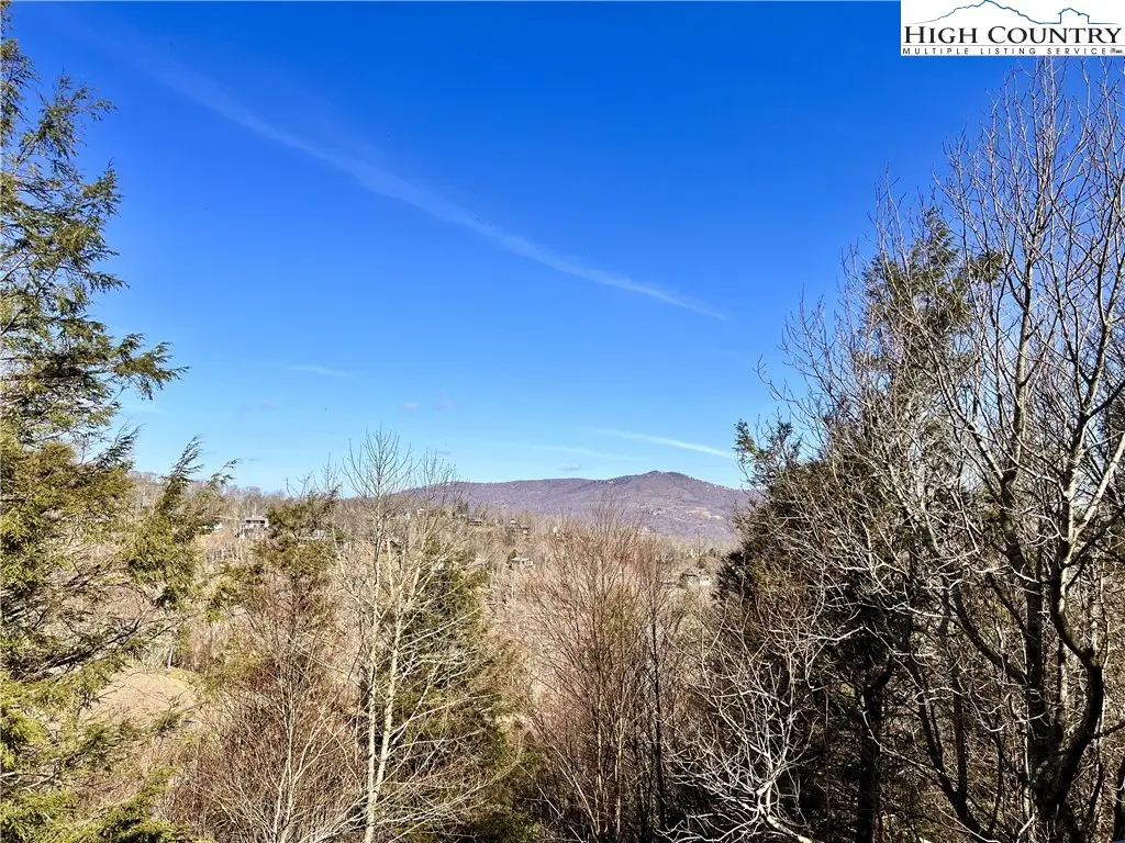 367 Skyleaf Drive #D-4, Sugar Mountain, NC 28604 - #1