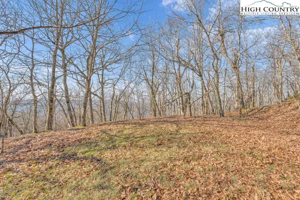 Lot E4 & E5 Firetower Road, Boone, NC 28607 - #1