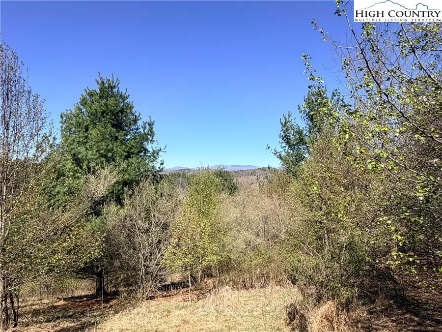 TBD (Lot 21 & 22) Martha Lane, Piney Creek, NC 28663 - #2