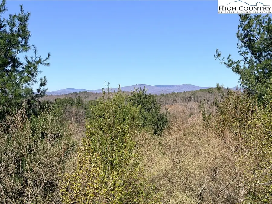 TBD (Lot 21 & 22) Martha Lane, Piney Creek, NC 28663 - #3