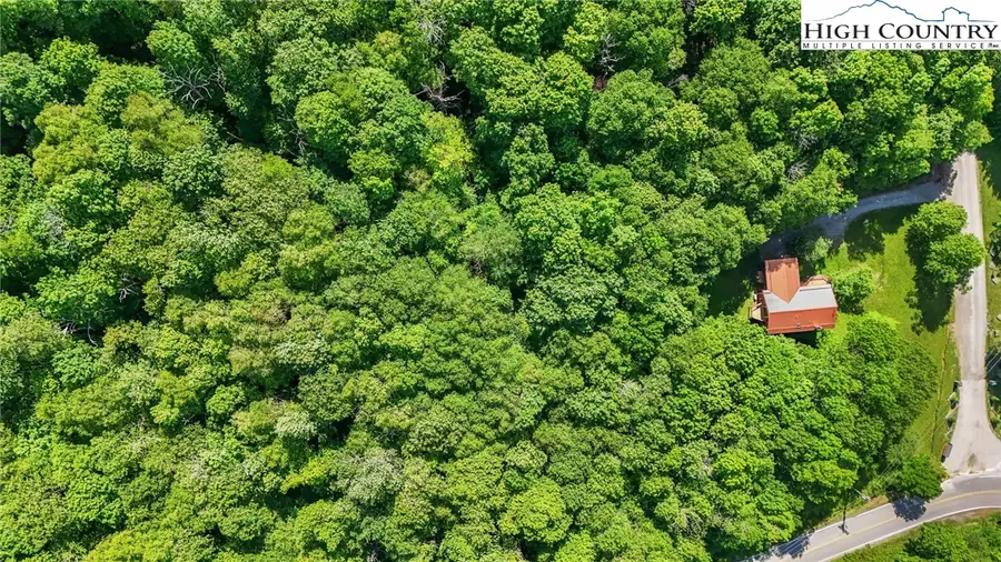 233 Woodland Springs Trail, Boone, NC 28607 - #2