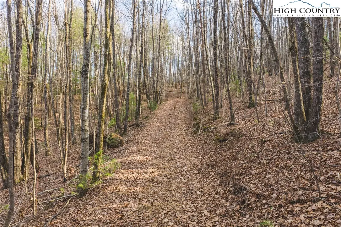 TBD Lot 2 All Healing Springs Road, Taylorsville, NC 28681 - #1