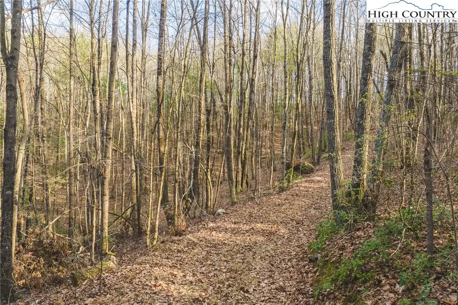 TBD Lot 2 All Healing Springs Road, Taylorsville, NC 28681 - #2