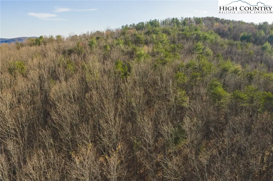 TBD Lot 2 All Healing Springs Road, Taylorsville, NC 28681 - #3