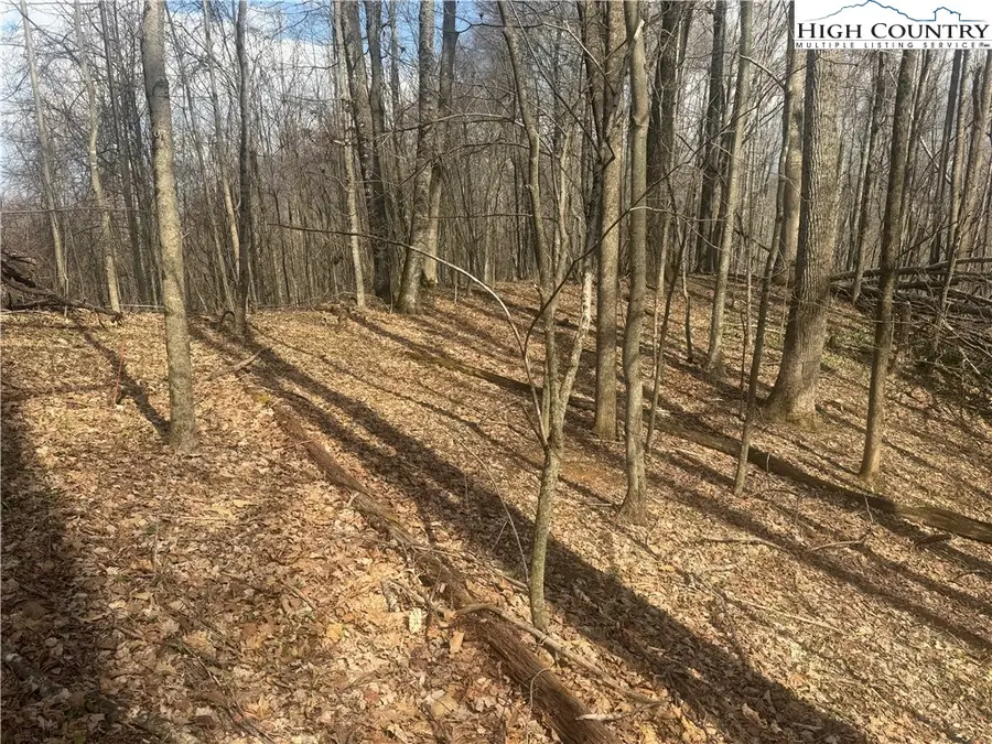 TBD Lot 17 Carefree Cove Road, Zionville, NC 28698 - #2