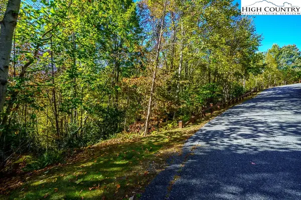 Lot 39 TBD Pine Cove Road, Elk Park, NC 28622