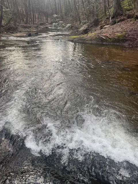 637 Monticello Drive, West Jefferson, NC 28694