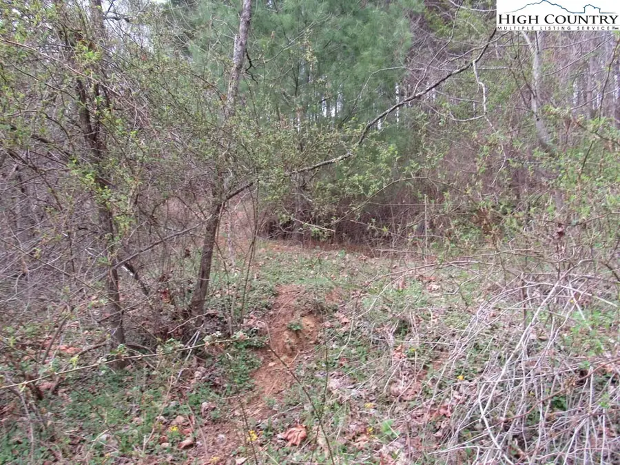 TBD Nc Hwy 88 W, Creston, NC 28615 - #2