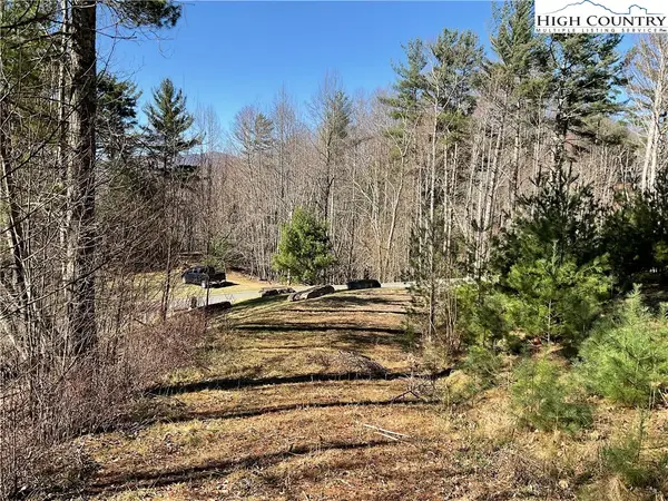 TBD Lot 34 Falls Creek Parkway, Elk Park, NC 28622