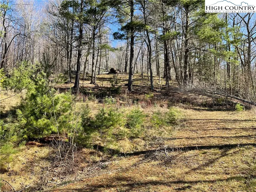 TBD Lot 34 Falls Creek Parkway, Elk Park, NC 28622 - #2