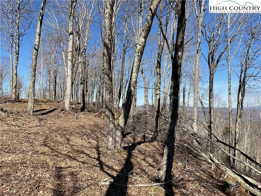 TBD Lot 34 Falls Creek Parkway, Elk Park, NC 28622 - #3