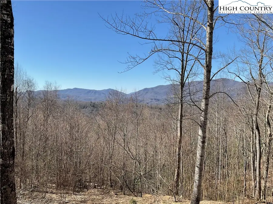 TBD Lot 8 Heritage Ridge Drive, Elk Park, NC 28622 - #3