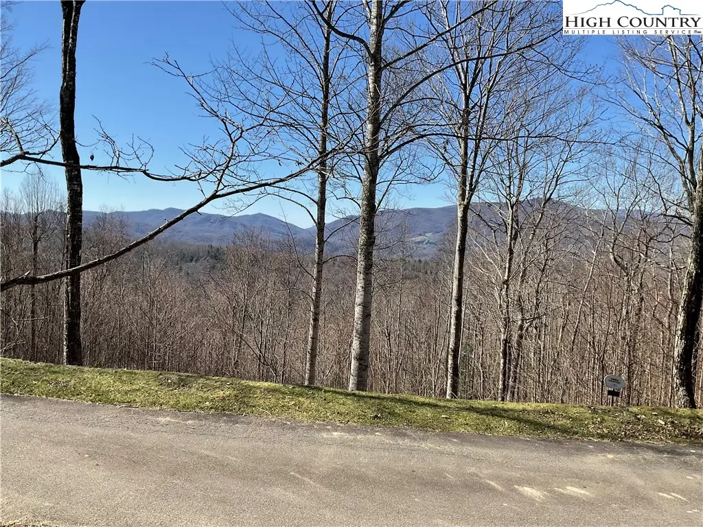 TBD Lot 4 Heritage Ridge Road, Elk Park, NC 28622 - #1