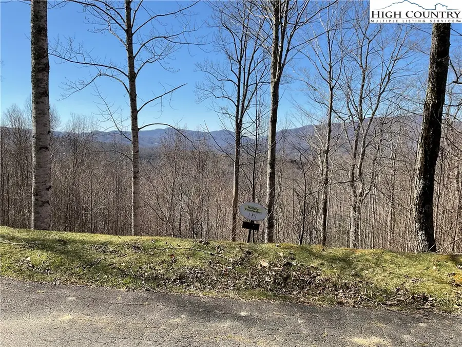 TBD Lot 4 Heritage Ridge Road, Elk Park, NC 28622 - #2