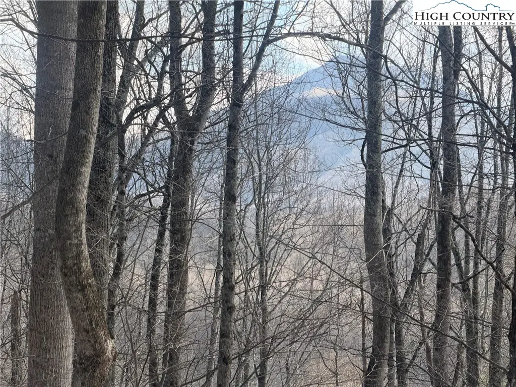 TBD  Lot 18 Carefree Cove Road, Zionville, NC 28698 - #1