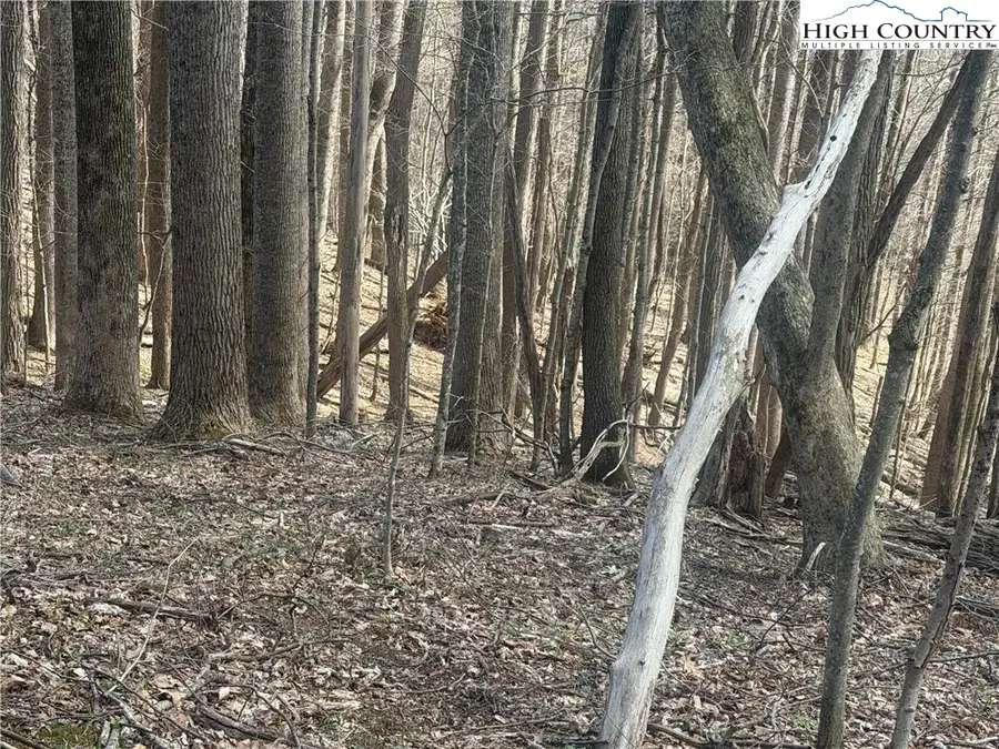 TBD  Lot 18 Carefree Cove Road, Zionville, NC 28698 - #2