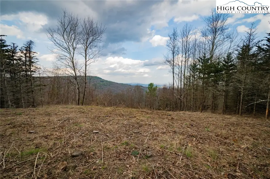 Lot 150 Angelfire Trail, Deep Gap, NC 28618 - #2