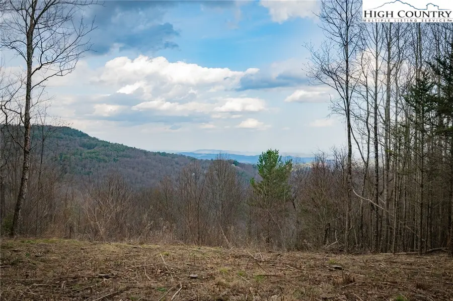Lot 150 Angelfire Trail, Deep Gap, NC 28618 - #3