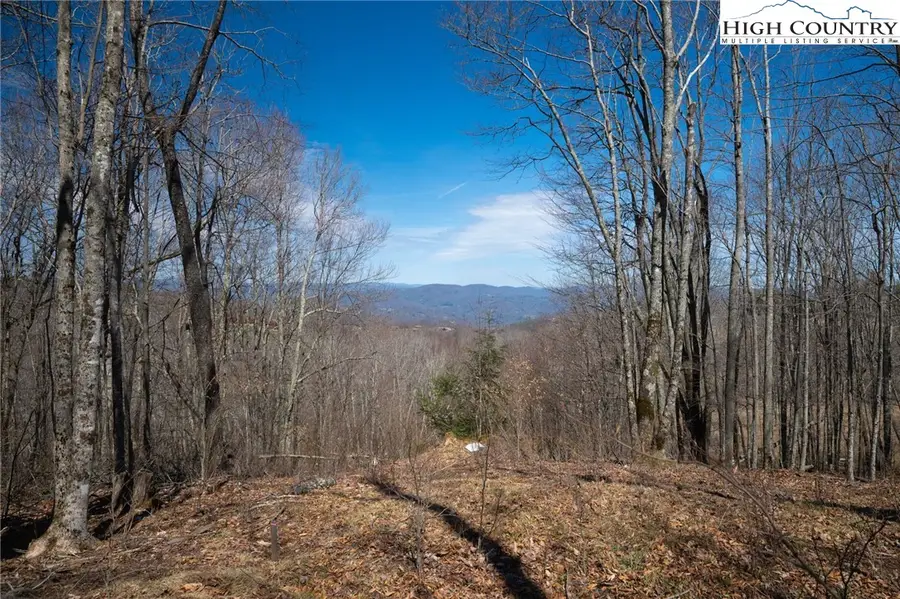 Lot 64 Eagle Pass, Banner Elk, NC 28604 - #3