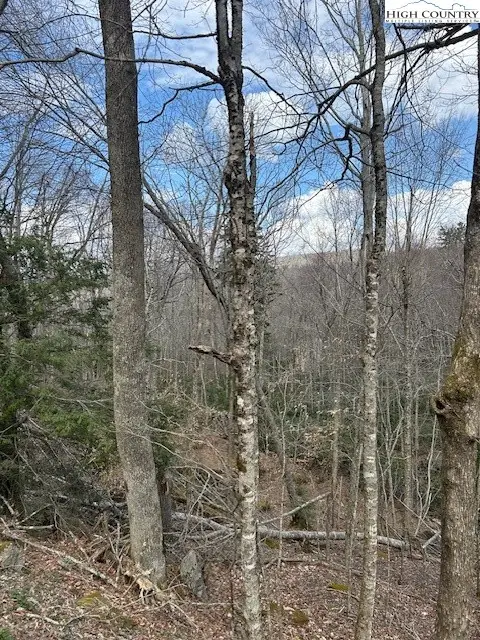 116 E Blueberry Lane, Beech Mountain, NC 28604