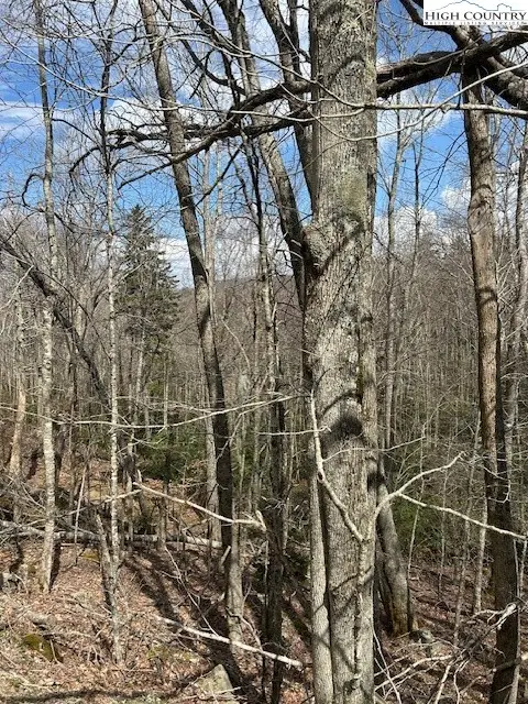 116 E Blueberry Lane, Beech Mountain, NC 28604 - #2