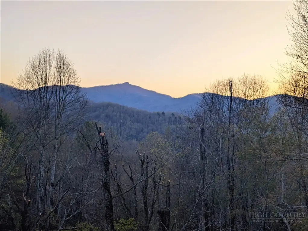 TBD Daisy Ridge #20 Road, Banner Elk, NC 28604 - #1