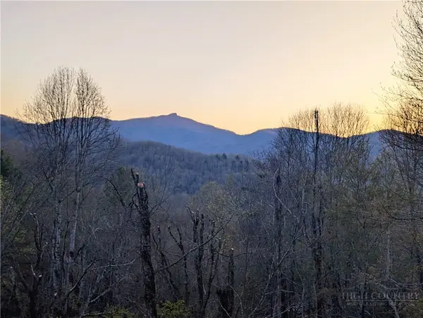 TBD Daisy Ridge #20 Road, Banner Elk, NC 28604