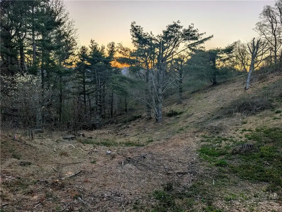 TBD Daisy Ridge #20 Road, Banner Elk, NC 28604 - #2