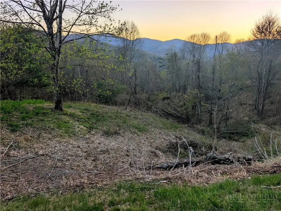 TBD Daisy Ridge #20 Road, Banner Elk, NC 28604 - #3