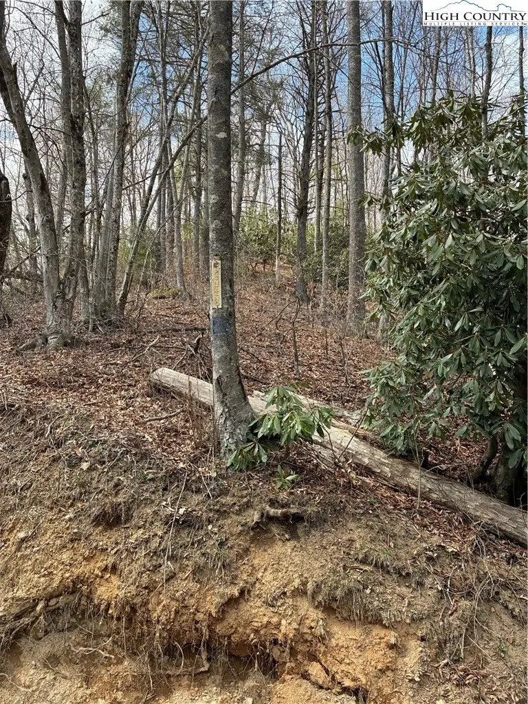 TBD Meadowfork Road, Laurel Springs, NC 28644 - #3