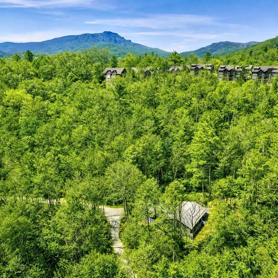 913 Winterberry Trail, Boone, NC 28607 - #2