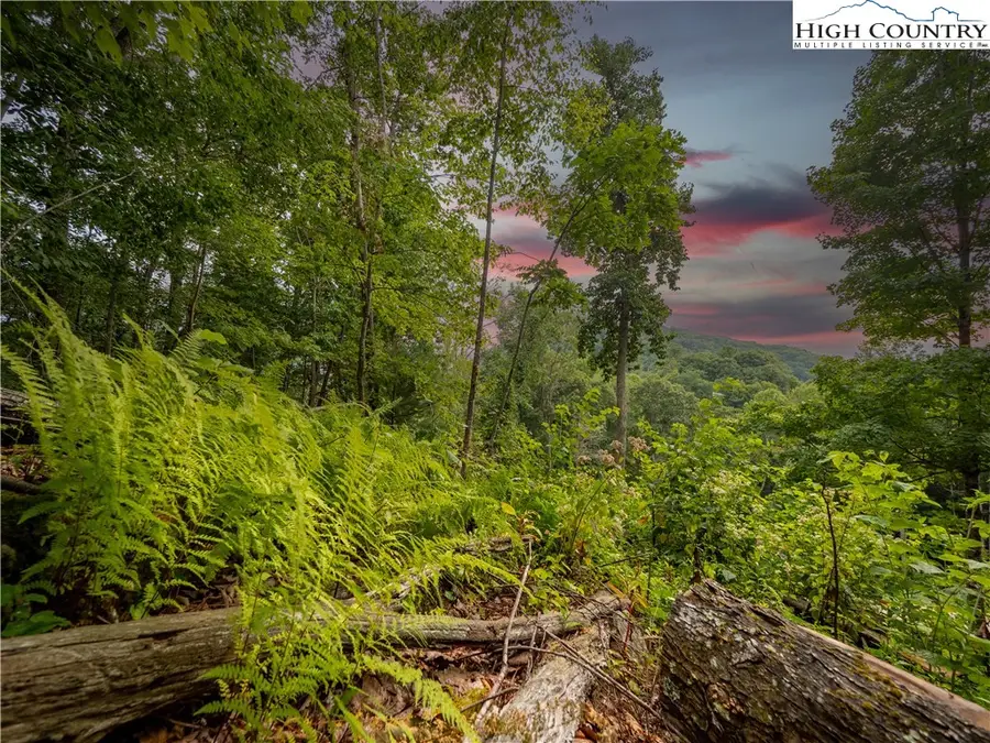 C120 Springwater Lane, Banner Elk, NC 28604 - #2