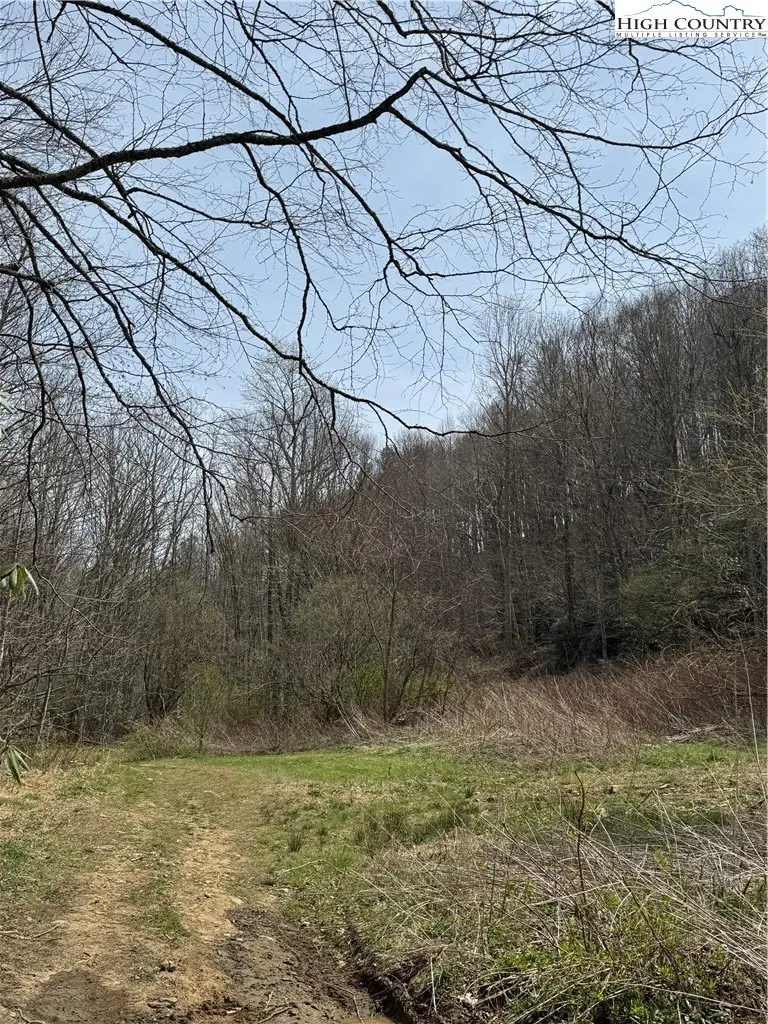 63 Jeffrey Franklin Lane, Newland, NC 28657 - #2