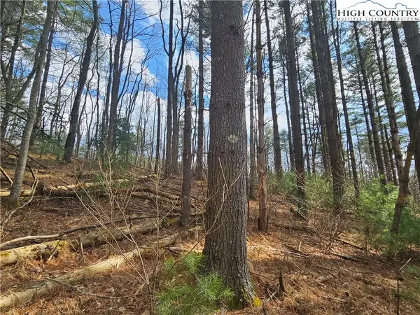 TBD Panorama Drive, Todd, NC 28684