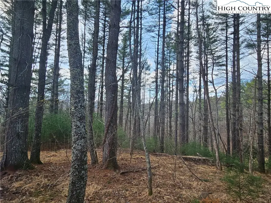 TBD Panorama Drive, Todd, NC 28684 - #2