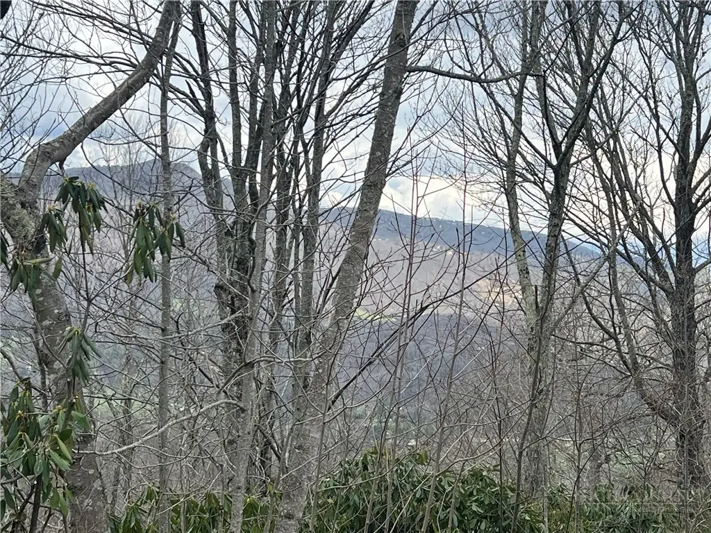107 Elk River Parkway, Banner Elk, NC 28604 - #1