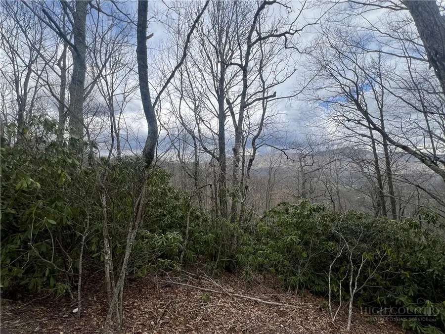 107 Elk River Parkway, Banner Elk, NC 28604 - #3