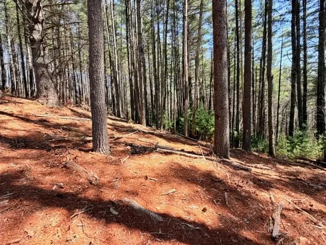 Lot 24 New River Overlook, West Jefferson, NC 28694 - #2