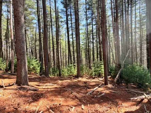 Lot 24 New River Overlook, West Jefferson, NC 28694 - #3