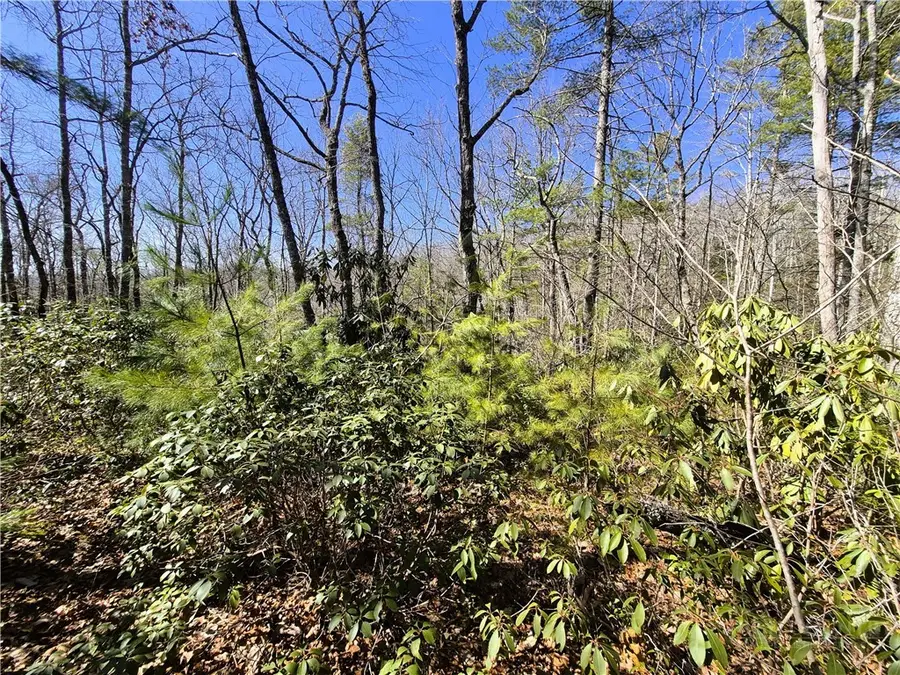 Lot 35 Smoke Rise Path, West Jefferson, NC 28694 - #2