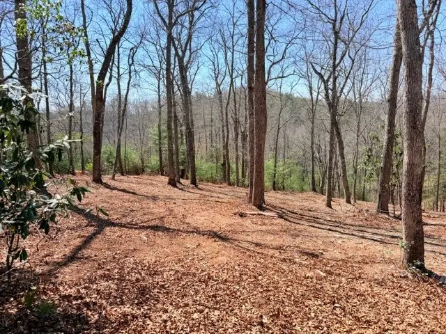 Lot66 Autumn Fern Trail, West Jefferson, NC 28694 - #2