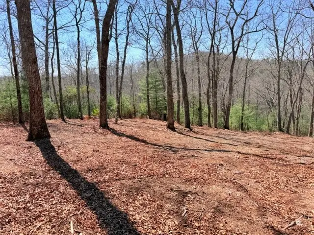 Lot66 Autumn Fern Trail, West Jefferson, NC 28694 - #3