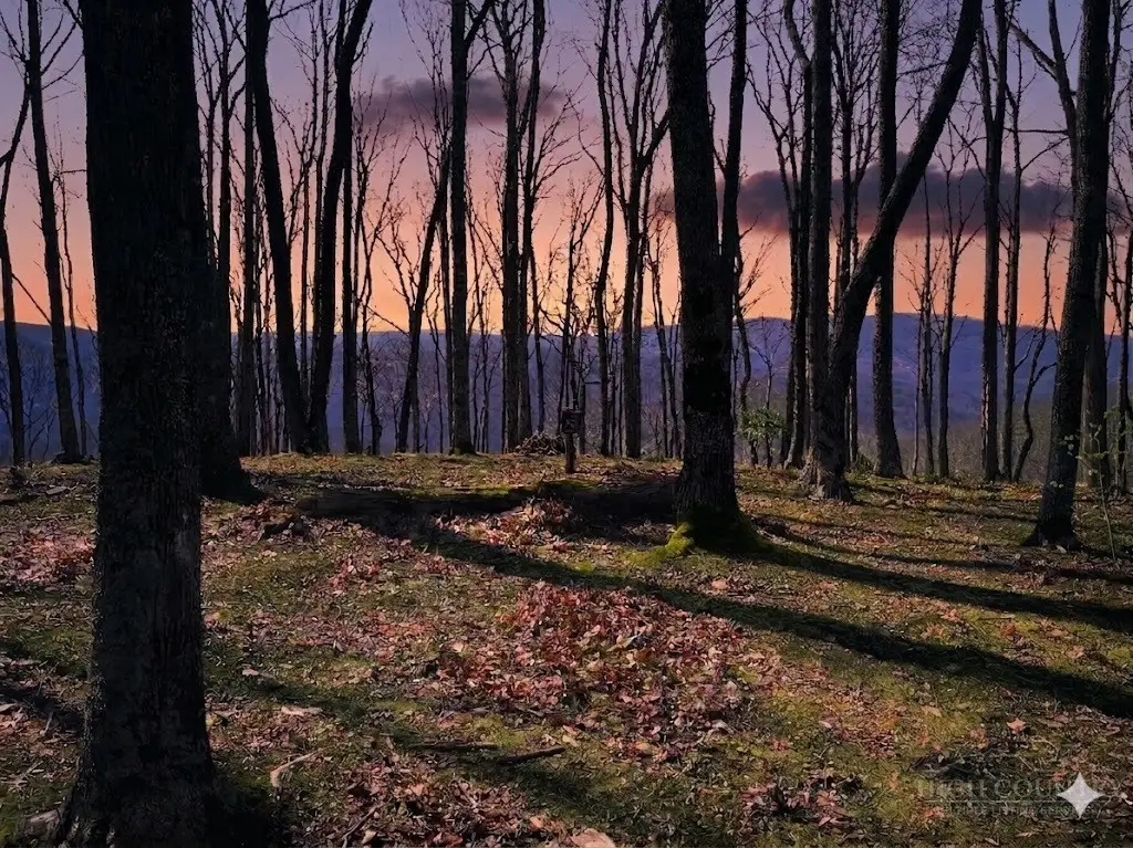 G30 Lodge Woods Trail, Banner Elk, NC 28604 - #1