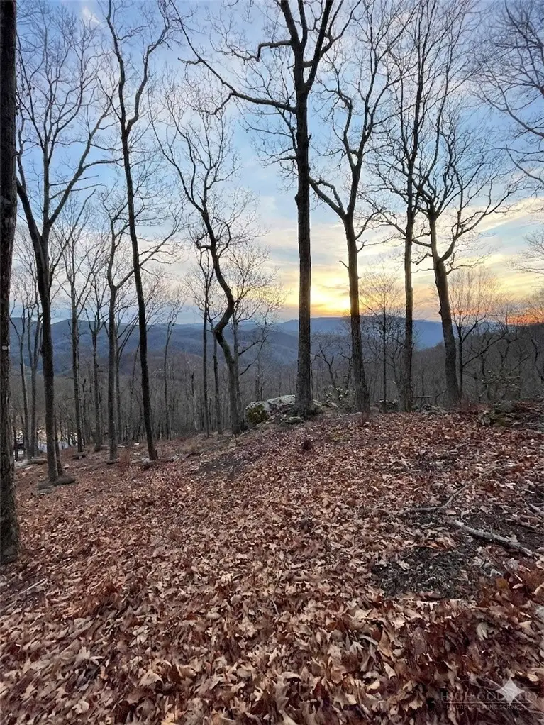 G30 Lodge Woods Trail, Banner Elk, NC 28604 - #2