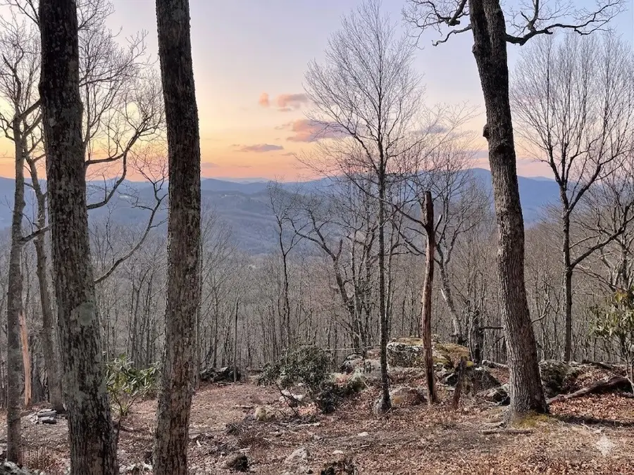 G30 Lodge Woods Trail, Banner Elk, NC 28604 - #3
