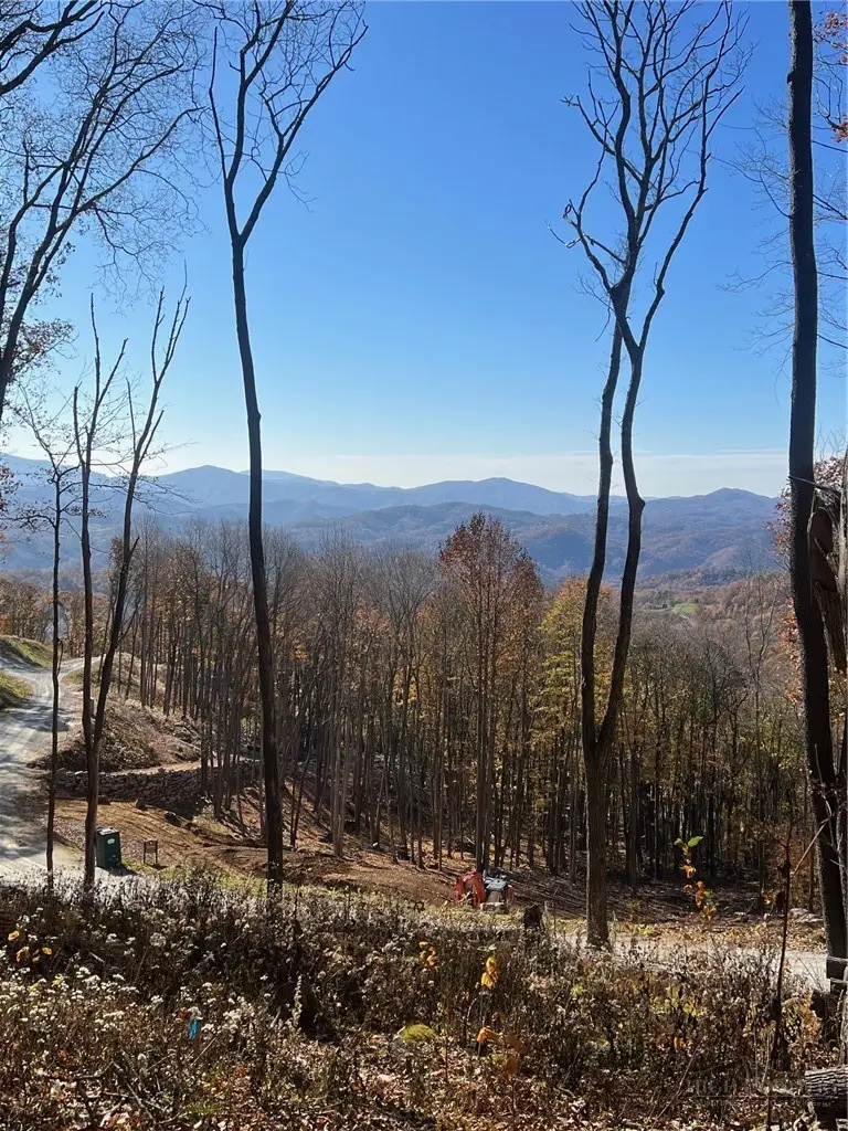 S-92 Talon Trail, Banner Elk, NC 28604 - #2