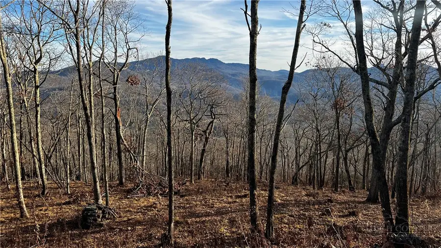 Lot 3 Chappell Farm Road, Banner Elk, NC 28604 - #2