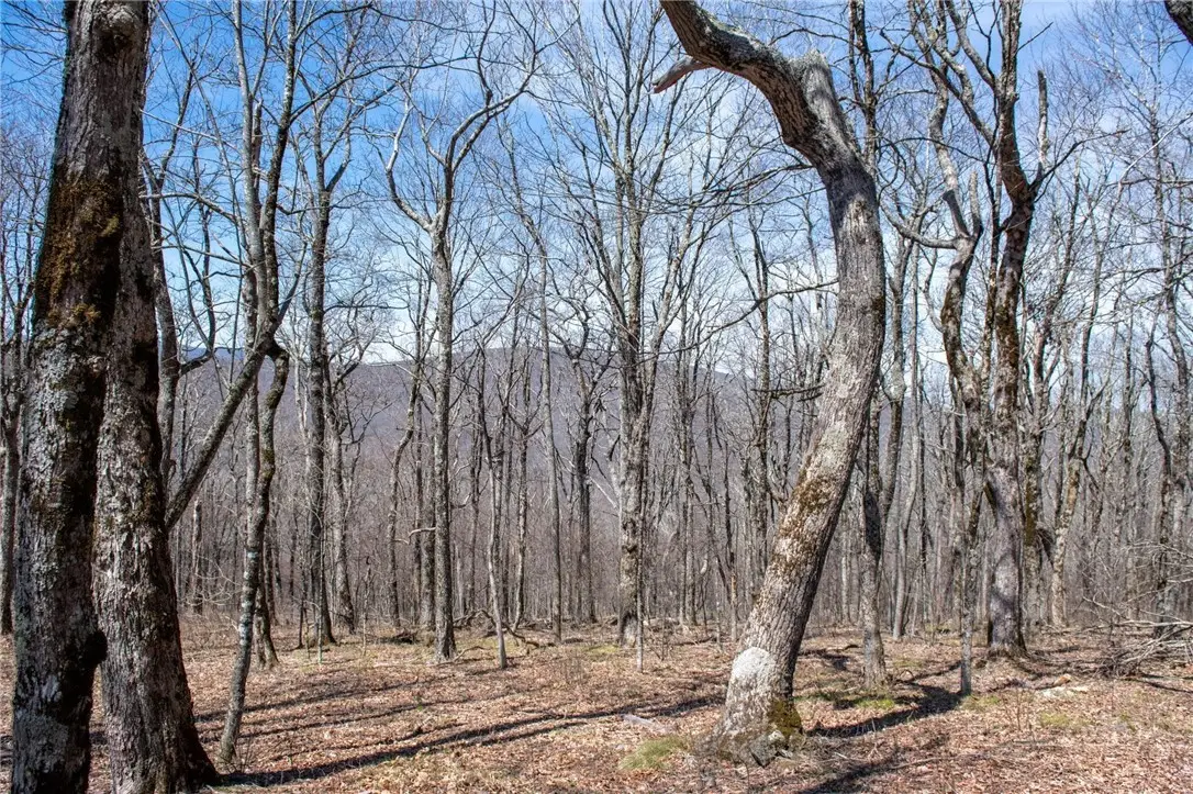 Lot #100 Elk Creek Mountain Parkway Parkway, Todd, NC 28684 - #1