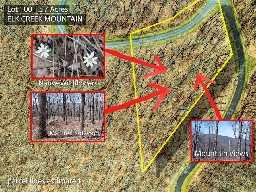 Lot #100 Elk Creek Mountain Parkway Parkway, Todd, NC 28684 - #3